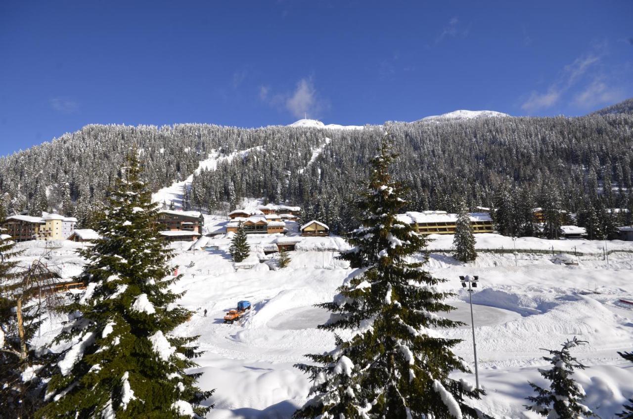 Cristallo Hotel 4*